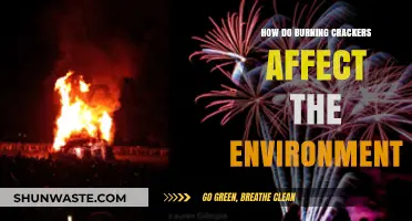 Crackers' Impact: Environmental Consequences of Burning Fireworks Revealed