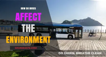 Buses' Environmental Impact: Emissions, Sustainability, and Urban Transit Solutions