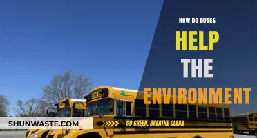 Eco-Friendly Transit: How Buses Reduce Emissions and Promote Sustainability