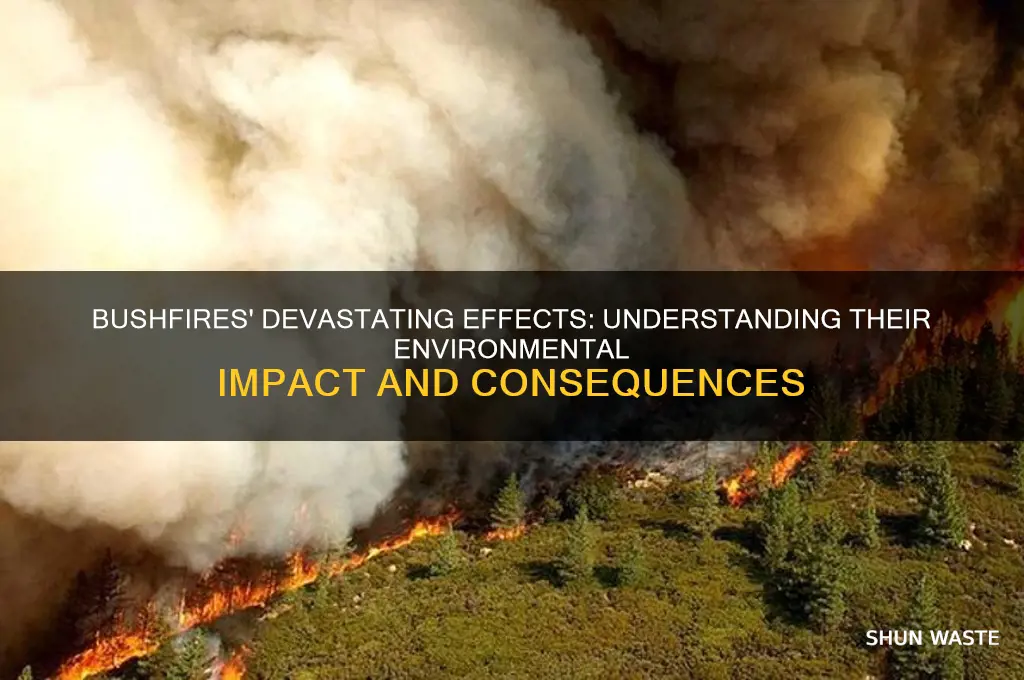 how do bushfires impact our environment