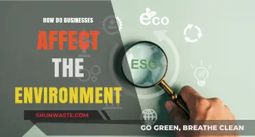 Corporate Impact: How Businesses Shape Our Environment and Future