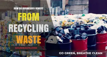 Recycling Waste: Sustainable Practices Boosting Business Profits and Reputation