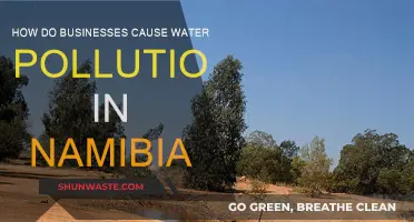 Namibia's Water Crisis: Industrial Pollution's Devastating Impact