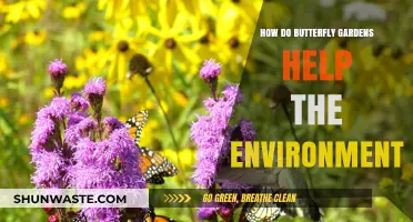 Butterfly Gardens: Nurturing Pollinators and Restoring Ecosystems Naturally