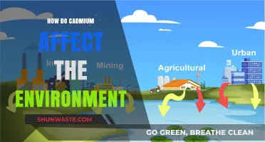 Cadmium's Environmental Impact: Pollution, Ecosystem Damage, and Health Risks