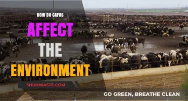 CAFOs' Environmental Impact: Pollution, Land Degradation, and Ecosystem Disruption