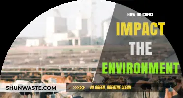 CAFOs' Environmental Impact: Pollution, Deforestation, and Climate Change Concerns