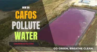 CAFOs' Impact: Industrial Farming's Water Pollution Crisis