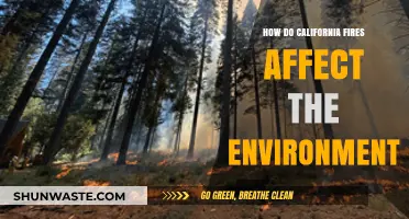 California Wildfires: Environmental Impacts and Long-Term Ecological Consequences