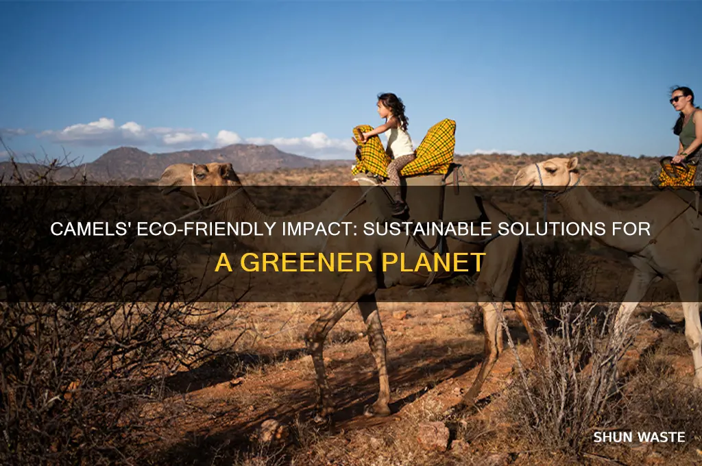 how do camels help the environment