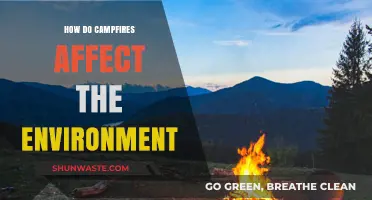 Campfires' Environmental Impact: Benefits, Risks, and Sustainable Practices Explored