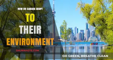 Canada's Environmental Adaptation: Strategies for a Changing Climate and Landscape