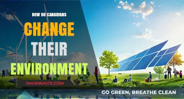 How Canadians Transform Their Environment: Sustainable Practices and Initiatives