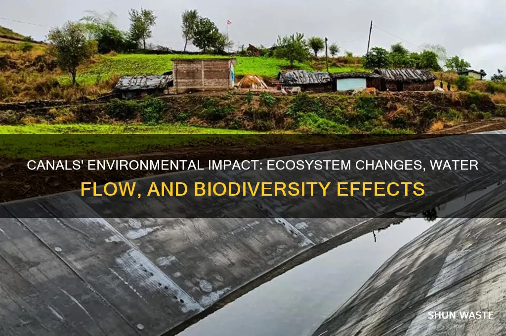 how do canals affect the environment