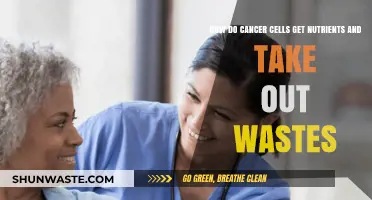 Cancer's Survival Tactics: Nutrient Acquisition and Waste Removal Explained
