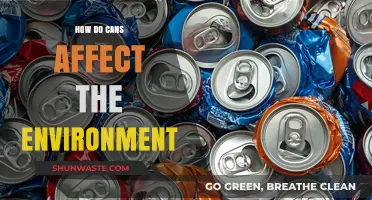 Cans' Environmental Impact: Recycling, Waste, and Sustainable Alternatives Explained
