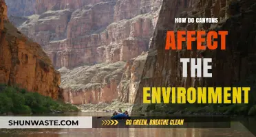 Canyons' Environmental Impact: Shaping Ecosystems and Climate Dynamics