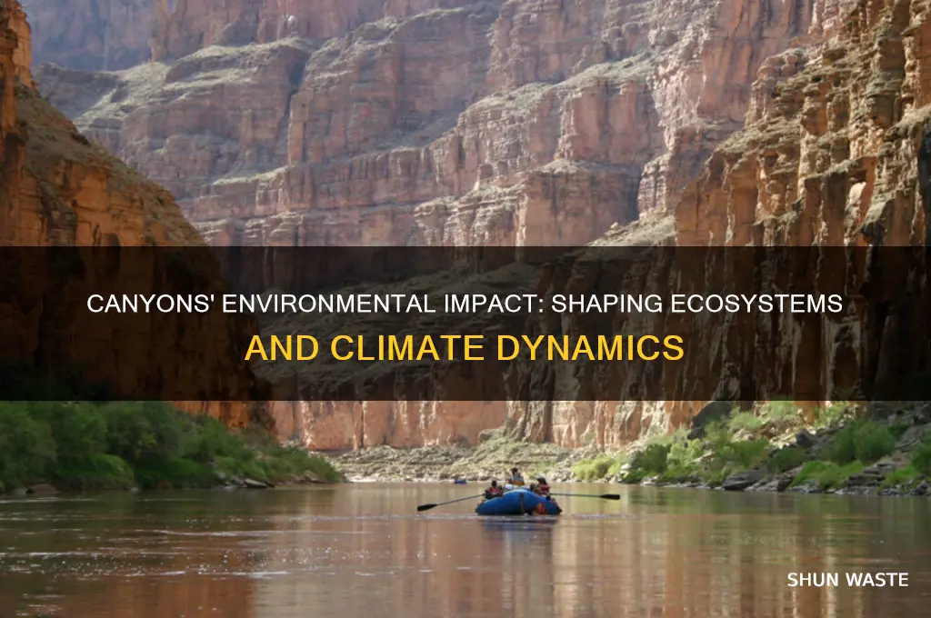 how do canyons affect the environment