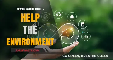 Carbon Credits: A Powerful Tool for Environmental Conservation and Sustainability