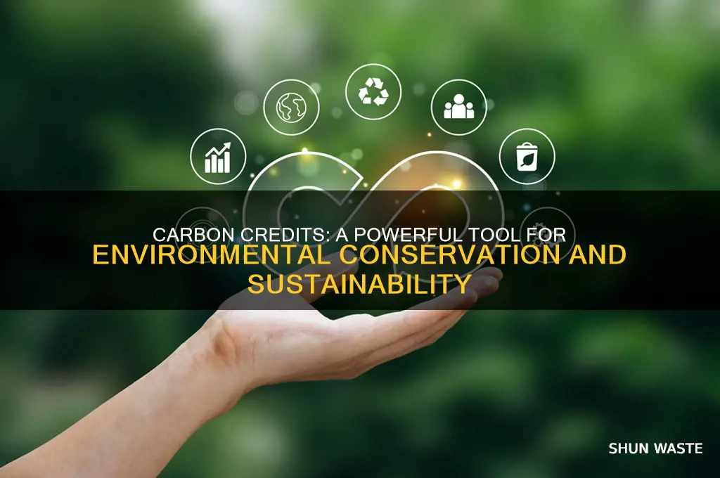 how do carbon credits help the environment