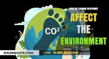 Carbon Footprint's Impact: Unveiling Environmental Consequences and Sustainable Solutions