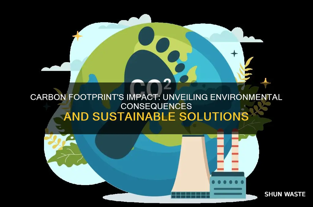 how do carbon footprint affect the environment