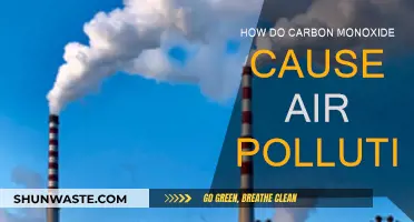 Unveiling the Hidden Dangers: Carbon Monoxide's Impact on Air Quality