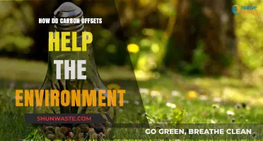 Carbon Offsets: A Powerful Tool for Environmental Restoration and Sustainability