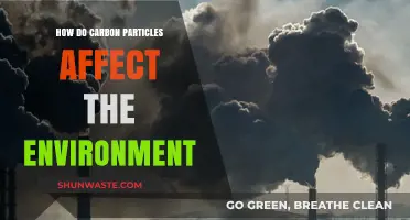Carbon Particles' Environmental Impact: Pollution, Climate Change, and Ecosystem Disruption