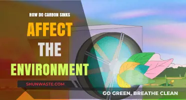 Carbon Sinks: Environmental Impact and Their Role in Climate Change