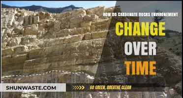 Evolving Carbonate Rock Environments: Unraveling Temporal Shifts and Transformations