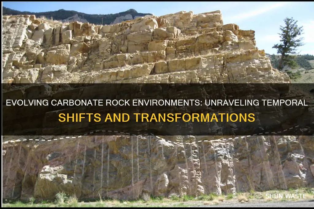 how do carbonate rocks environement change over time