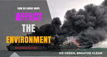 Cargo Ships' Environmental Impact: Pollution, Ecosystems, and Sustainability Challenges