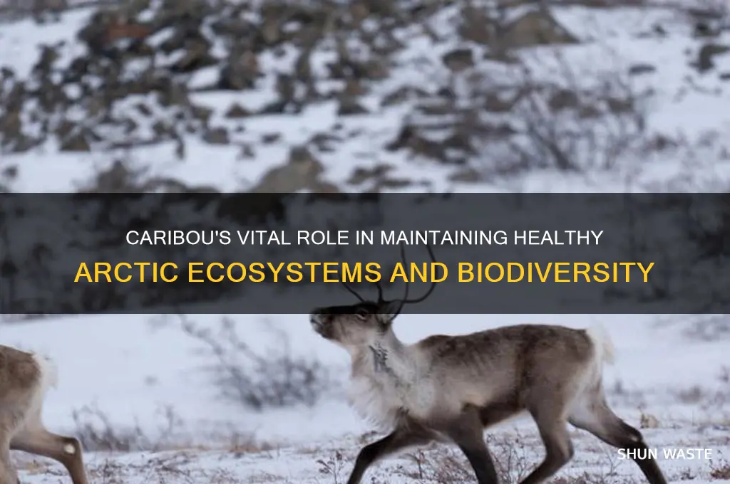 how do caribou help the environment