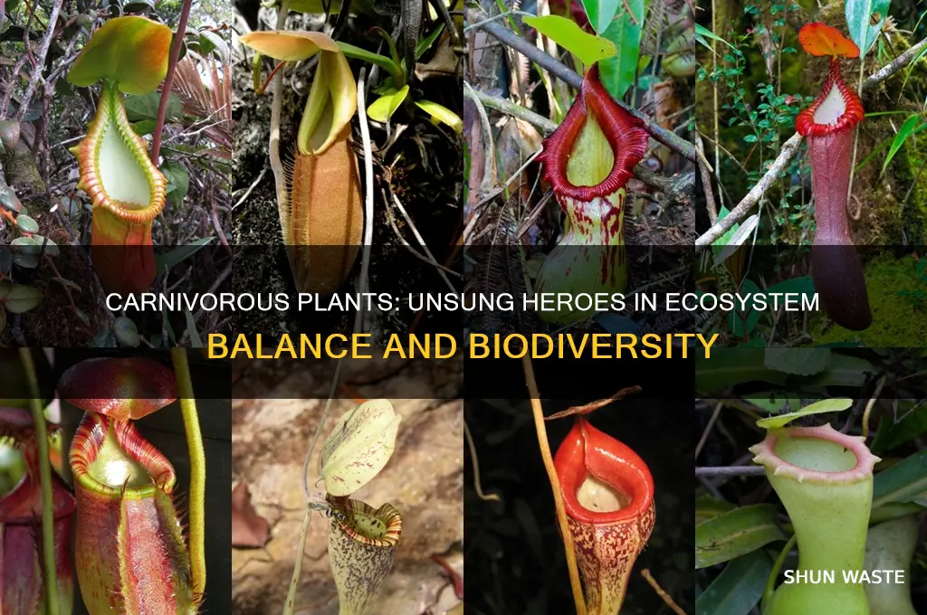 how do carnivorous plant help the environment
