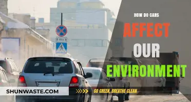 Cars' Environmental Impact: Pollution, Climate Change, and Sustainable Solutions