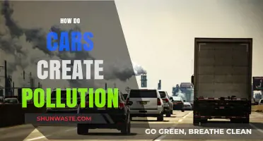 Cars: Engines of Environmental Pollution