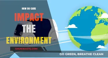 Cars' Environmental Impact: Pollution, Climate Change, and Sustainable Solutions