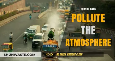 Cars: Polluting Our Air, Damaging Our Health