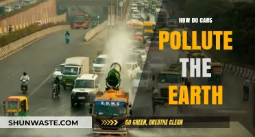 Cars' Pollution Problem: Harming Our Planet
