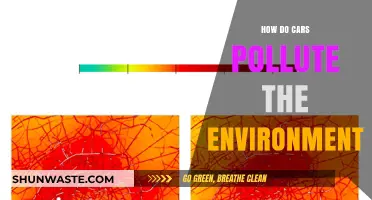 Cars' Environmental Impact: Polluting Our Planet