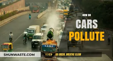 Cars: The Unseen Polluters on the Road