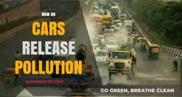 Cars: Understanding Their Pollution and Impact