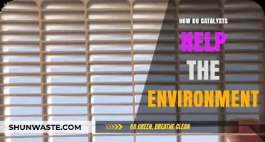 Catalysts: Unsung Heroes in Reducing Pollution and Saving Our Planet