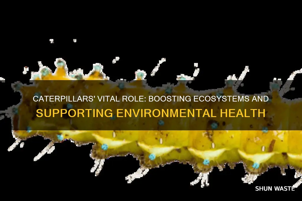 how do caterpillars help the environment