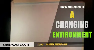Cellular Resilience: Adapting to Survive in Dynamic Environments