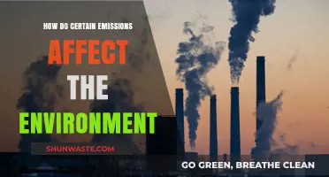 Environmental Impact: How Harmful Emissions Alter Our Planet's Health