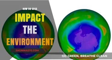 CFCs' Environmental Impact: Ozone Depletion, Climate Change, and Ecosystem Disruption