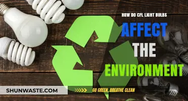 CFL Light Bulbs: Environmental Impact and Sustainable Lighting Choices