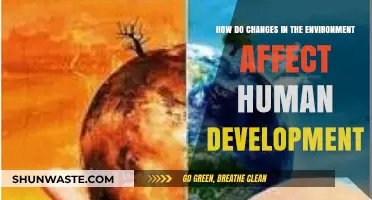Environmental Shifts: Impact on Human Growth and Development Explored